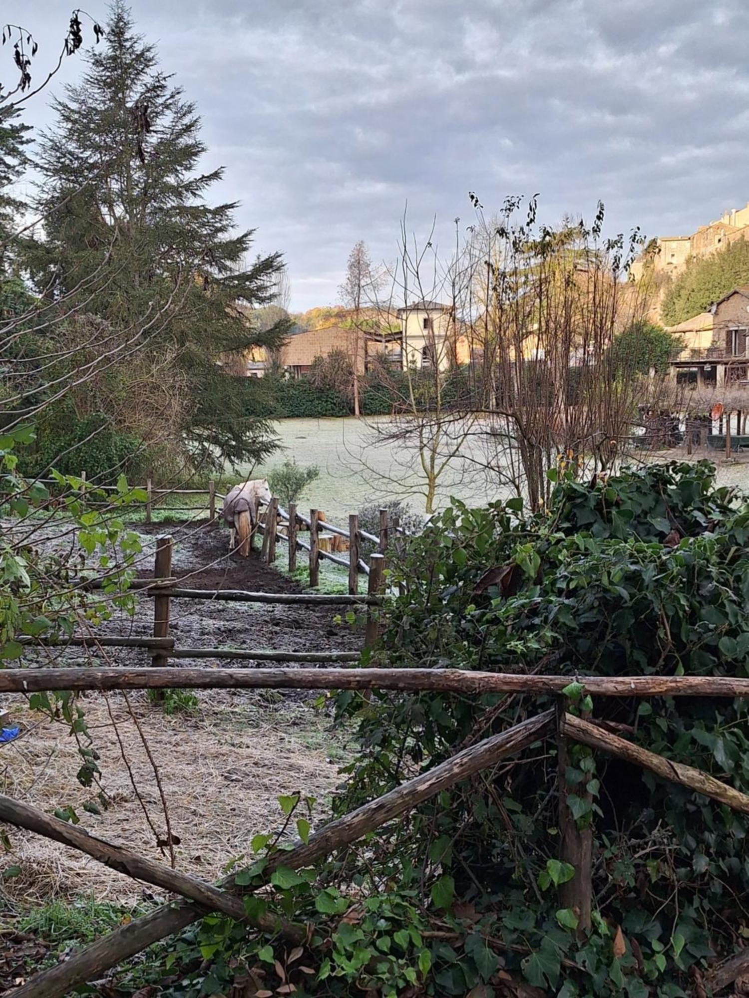 Radici Etrusche Sutri Hotel Buitenkant foto